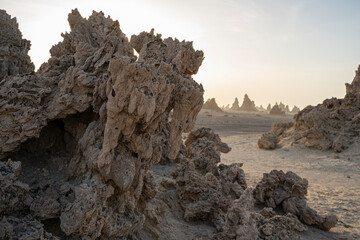 Prehistoric chimneys mineral rock formations, former bottom of the salt lake Abbe, Dikhil region, Djibouti