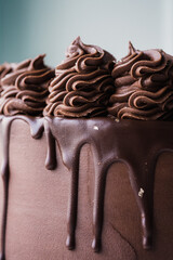 chocolate cake on a plate