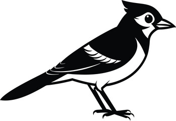 blue jay silhouette vector illustration