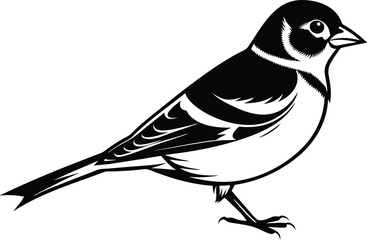 chaffinch silhouette vector illustration