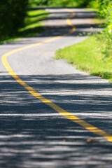 Obraz premium Empty urban cycling path winding through a wooded area on a bright late summer day