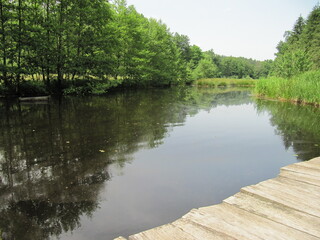 a garden pond saves water