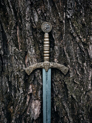 A beautiful medieval sword with a bronze hilt against of tree trunk.