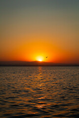 Fototapeta premium sunset over the sea