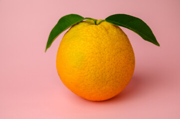 Ripe orange on a pink background
