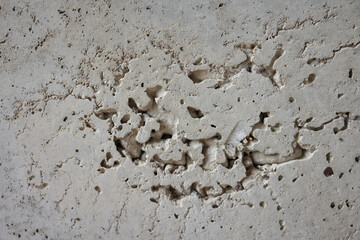A Visually Textured Surface Featuring Distinctive Footprints and Various Markings