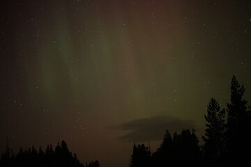 Naklejka premium Northern Lights in Finland