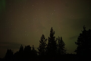 Fototapeta premium Northern Lights in Finland