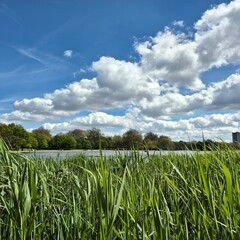 Obraz premium Field and sea meets sky