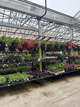 greenhouse in a greenhouse