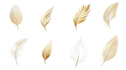 A set of elegant, gold and white decorative feathers on a white background, perfect for design and artistic purposes.