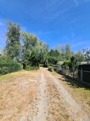 nature path in Berlin Rahnsdorf