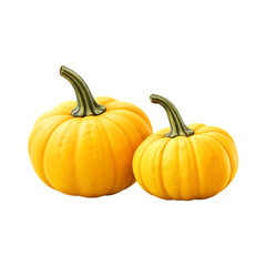 Obraz premium Fresh pumpkin isolated on a transparent background by AI generative. Thanksgiving day
