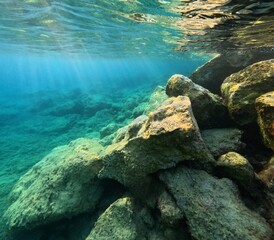 Seascape with the sun and swimming school of small fish. Snorkeling with the marine life, underwater travel photography. Wildlife in the ocean. Morning underwater, seascape with fish.