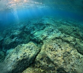 Fototapeta premium Seascape with the sun and swimming school of small fish. Snorkeling with the marine life, underwater travel photography. Wildlife in the ocean.