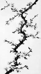 Fototapeta premium Black Ink Cherry Blossom Branch Illustration