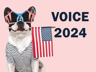 United States elections. 2024 Presidential Election. Adorable puppy and American Flag. Close-up, indoors. Studio shot. Pet care concept. Beautiful Election day invitation card, isolated background