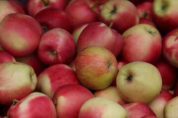 Farmers Market Fruits and Vegetables