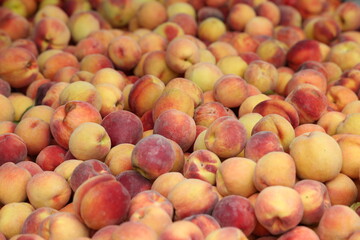 Farmers Market Fruits and Vegetables