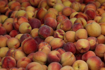 Farmers Market Fruits and Vegetables