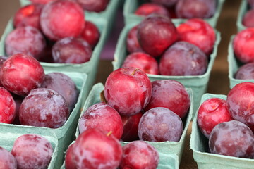 Farmers Market Fruits and Vegetables