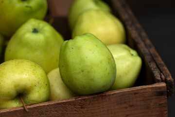 Farmers Market Fruits and Vegetables