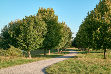 Blick vom Kronsberg in Hannover