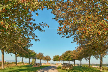 Naklejka premium Kronsberg in Hannover mit einer Höhe von 118 M.ü.N.N