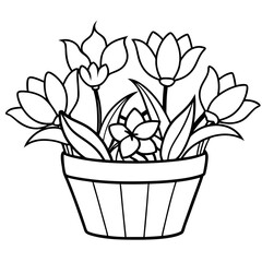 illustration of lotus flower