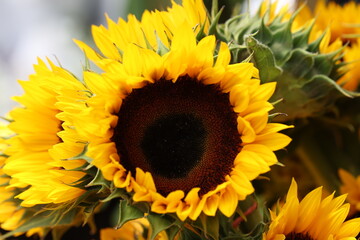 Farmers Market Fruits and Vegetables