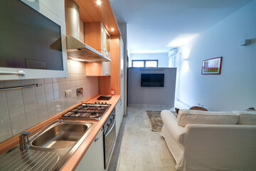 One-room bed and breakfast apartment, white interior design, open space: kitchen with dining table, living room with sofa