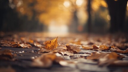 Close-up of a beautiful landscape with a leaf prominently displayed in a shallow depth of field shot. A beautiful leaf lying on the ground in a warm and inviting environment.