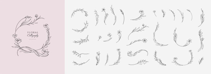 Set of elegant calligraphic botanical design elements, floral frame and graceful branches. Wedding wildflowers for invitation save the date card. Botanical feminine rustic vector illustration