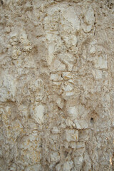 Background with texture of old stone