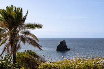 Little Rock - Gorgulho Island, off the coast of Funchal on Madeira Island.