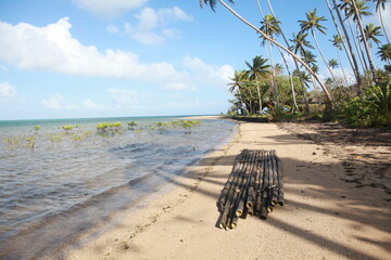 Bilibili traditional bamboo raft, Fiji