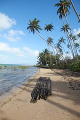 Bilibili traditional bamboo raft, Fiji