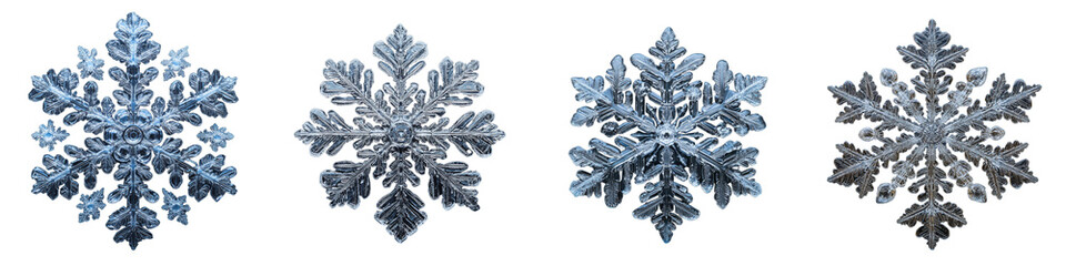 Four intricate snowflakes with unique patterns and crystalline structures, isolated on a transparent background
