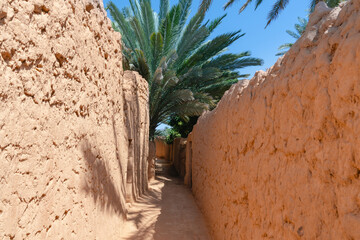 Immergrüne Oase am Heritage Trail im Wüstenland AlUla Medina Saudi-Arabien 
