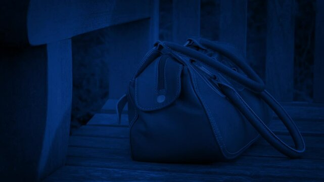 Bag Left On Bench Is Stolen At Night