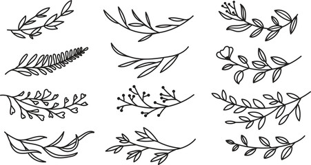 Minimalist Botanical Floral Line Art Clipart