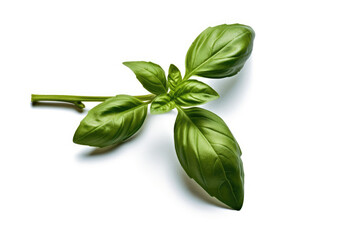 Fototapeta premium Fresh basil leaves on a light background, showcasing vibrant green color and natural texture ideal for culinary use and garnishing