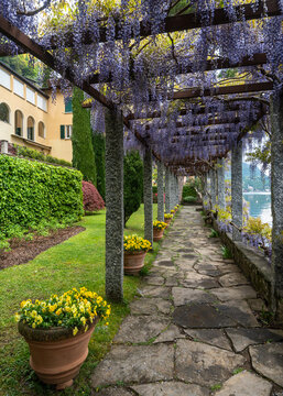 Stone pathway lined with wisteria and flower at Villa Fogazzaro garden on Lugano Lake, Valsolda, Italy