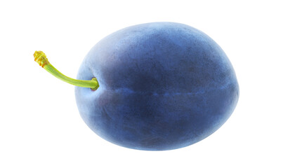 One blue plum fruit cutout
