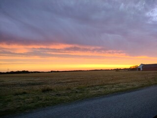 sunset over the field