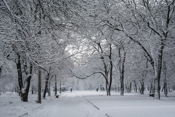 Snow-Covered Park Pathway on a Quiet Winter Day 