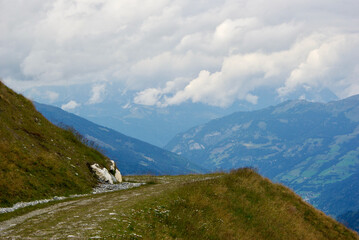 View of an amazing mountain landscape with a stony path on a hazy day with gray clouds and fog over the peaks in autumn in Austria.
