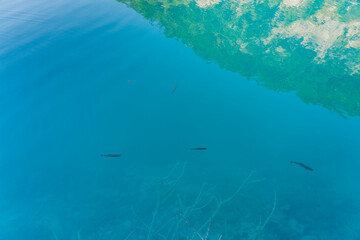 Plitvice lakes national park, Plitvička jezera, Croatia