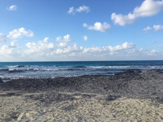 beach and sea