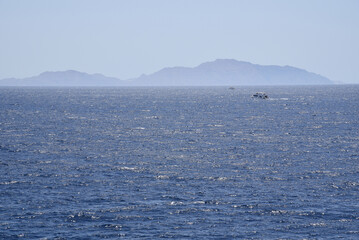 boat on the sea